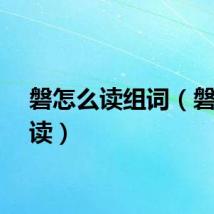 磐怎么读组词（磐怎么读）