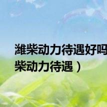 潍柴动力待遇好吗（潍柴动力待遇）