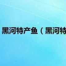黑河特产鱼（黑河特产）