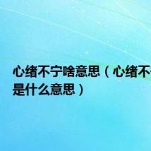 心绪不宁啥意思(心绪不宁的宁是什么意思)
