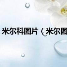 米尔科图片（米尔图库）