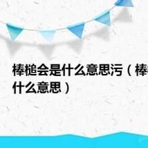 棒槌会是什么意思污(棒槌会是什么意思)