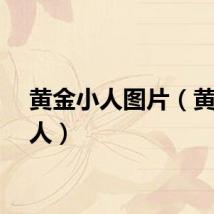 黄金小人图片（黄金小人）