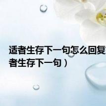 适者生存下一句怎么回复好(适者生存下一句)