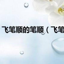 飞笔顺的笔顺（飞笔顺）