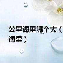 公里海里哪个大(公里海里)