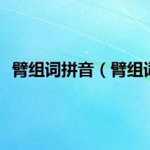 臂组词拼音（臂组词）