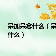 呆加呆念什么（呆呆念什么）