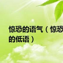 惊恐的语气（惊恐世界的低语）