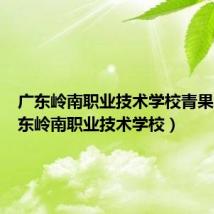 广东岭南职业技术学校青果网(广东岭南职业技术学校)