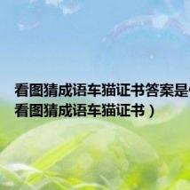 看图猜成语车猫证书答案是什么?(看图猜成语车猫证书)