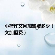 小荷作文网加盟费多少(小荷作文加盟费)