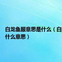 白龙鱼服意思是什么(白龙鱼服什么意思)