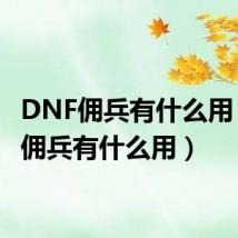 DNF佣兵有什么用(dnf佣兵有什么用)