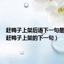 赶鸭子上架后语下一句是什么(赶鸭子上架的下一句)