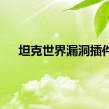 坦克世界漏洞插件
