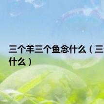 三个羊三个鱼念什么(三个鱼念什么)