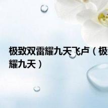 极致双雷耀九天飞卢(极致双雷耀九天)