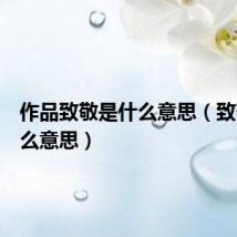 作品致敬是什么意思(致敬是什么意思)