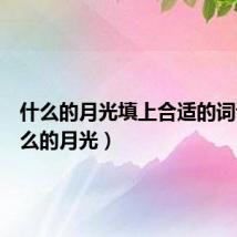什么的月光填上合适的词语(什么的月光)