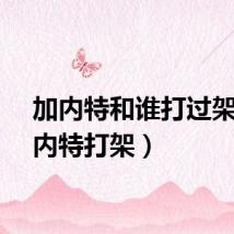 加内特和谁打过架(加内特打架)