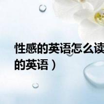 性感的英语怎么读(性的英语)