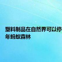 塑料制品在自然界可以停留多少年蚂蚁森林