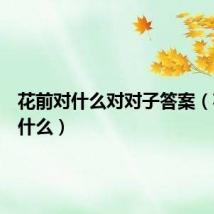 花前对什么对对子答案(花前对什么)
