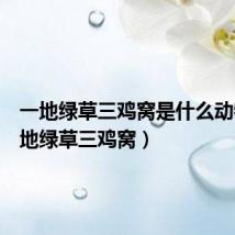 一地绿草三鸡窝是什么动物(一地绿草三鸡窝)