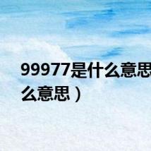 99977是什么意思(什么意思)