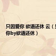 只因爱你 欲语还休 云(只因爱你by欲语还休)