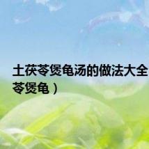 土茯苓煲龟汤的做法大全(土茯苓煲龟)