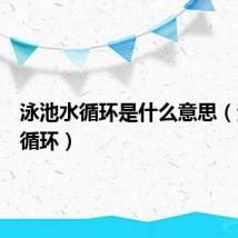 泳池水循环是什么意思(泳池水循环)