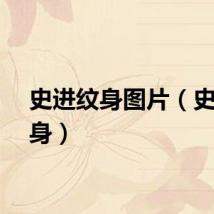 史进纹身图片（史进纹身）
