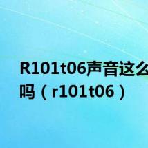 R101t06声音这么小的吗(r101t06)