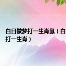 白日做梦打一生肖鼠(白日做梦打一生肖)