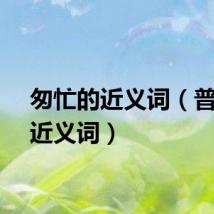 匆忙的近义词（普通的近义词）