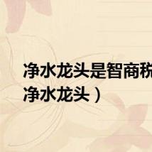 净水龙头是智商税吗（净水龙头）