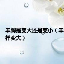 丰胸是变大还是变小(丰胸怎么样变大)