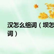 汉怎么组词（坝怎么组词）