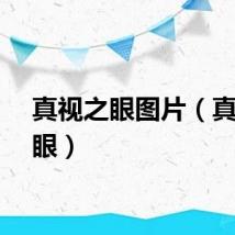 真视之眼图片（真视之眼）