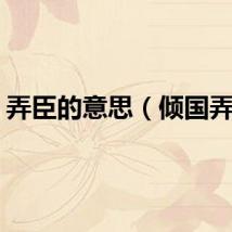 弄臣的意思（倾国弄臣）