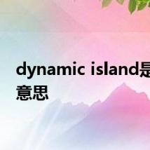 dynamic island是什么意思