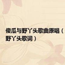 傻瓜与野丫头歌曲原唱(傻瓜与野丫头歌词)