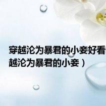 穿越沦为暴君的小妾好看吗(穿越沦为暴君的小妾)