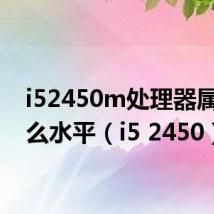 i52450m处理器属于什么水平(i5 2450)