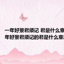 一年好景君须记 君是什么意思(一年好景君须记的君是什么意思)