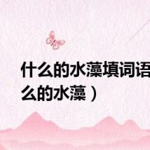 什么的水藻填词语（什么的水藻）