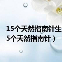 15个天然指南针生活(15个天然指南针)
