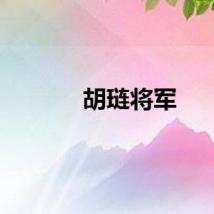 胡琏将军